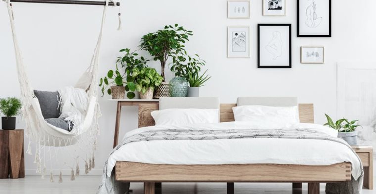 Les plantes à mettre dans sa chambre pour mieux dormir