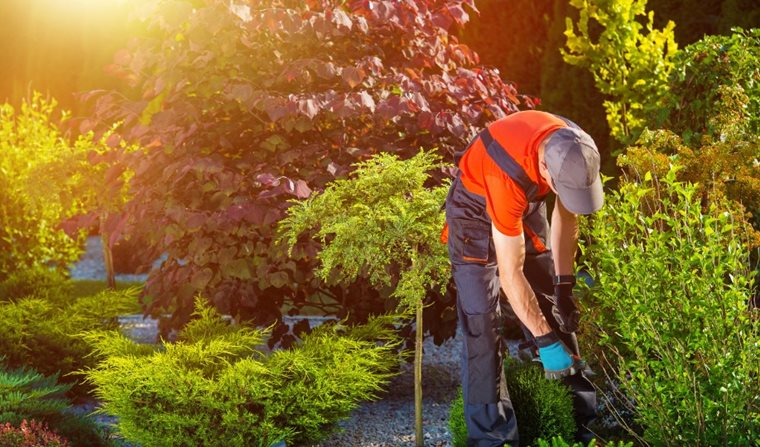 Travaux dans mon jardin: quels travaux réaliser