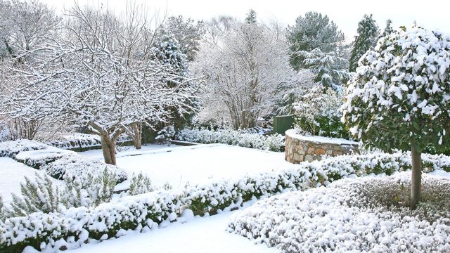 un-jardin-en-hiver_6014036.jpg